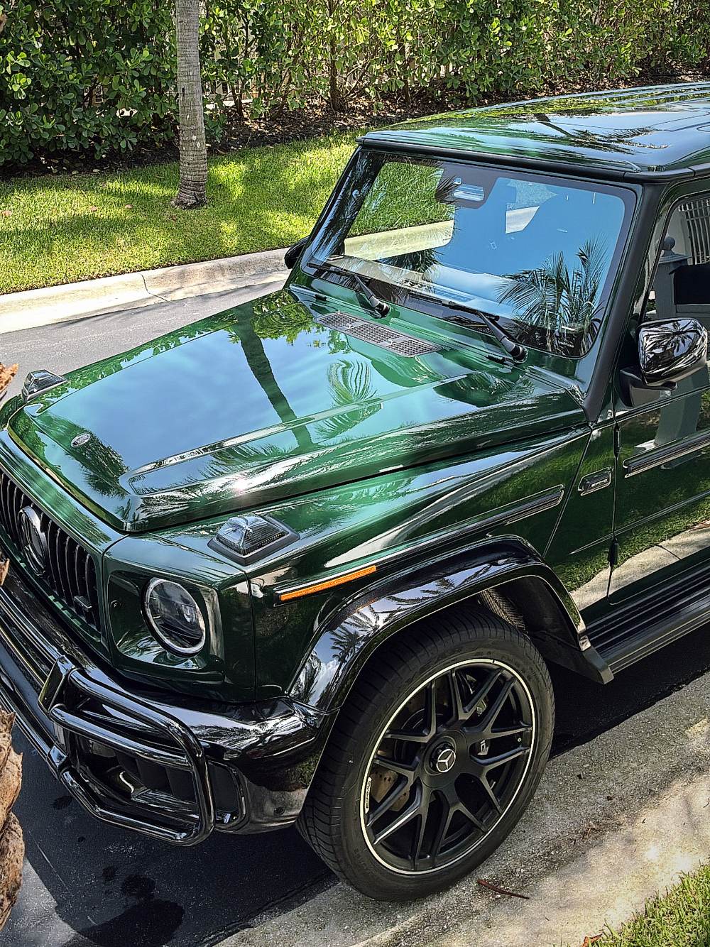 Green Mercedes-AMG G 63 with mirror-gloss paint reflecting palm trees